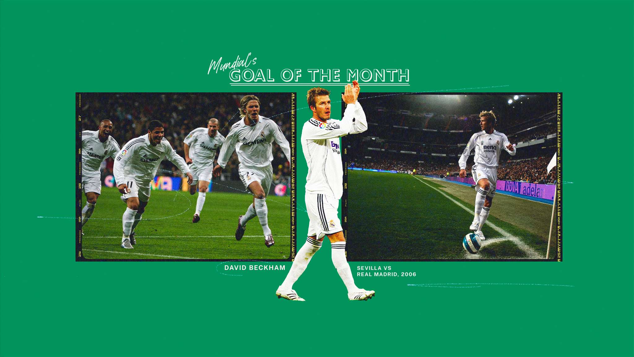 的完美结合 的完美结合