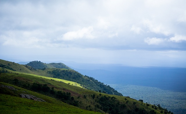 从球队整体 从球队整体