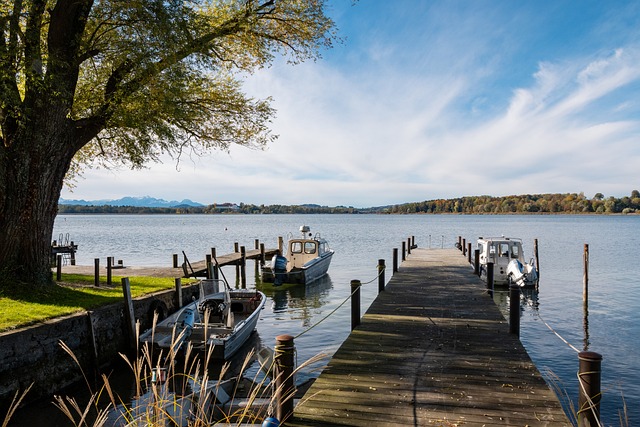 帅的指导 帅的指导