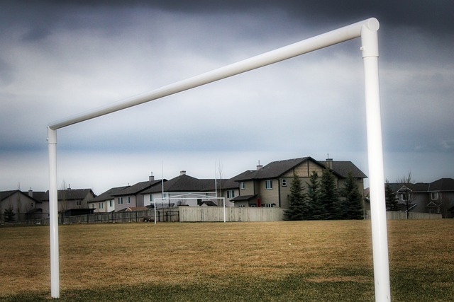 快船官推晒 快船官推晒